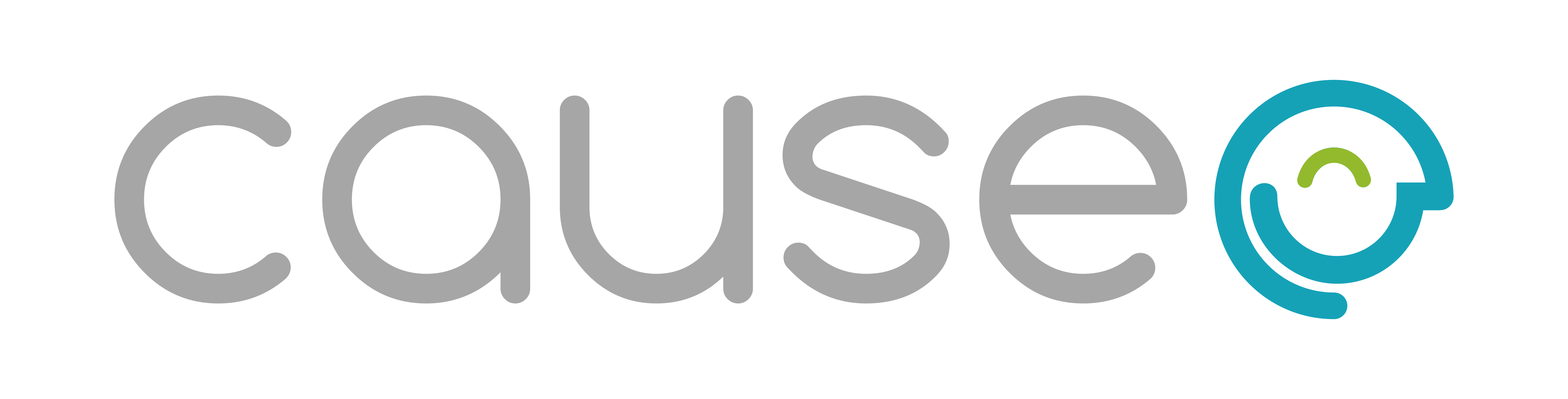 Causee LLC